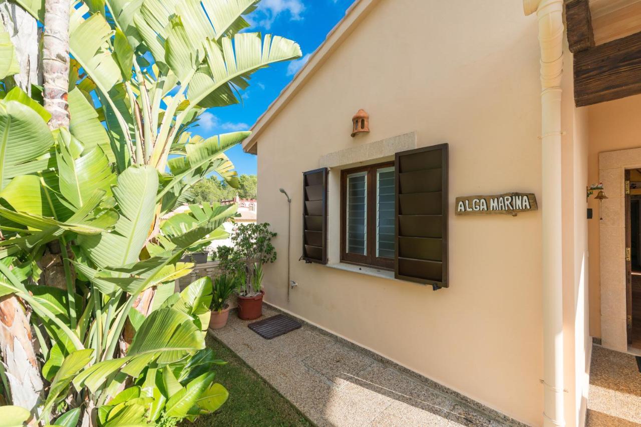 Alga Marina Holiday home